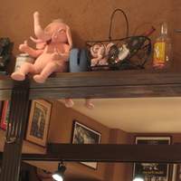 ヌガ - 酔っぱらうとピンクの象が見える？