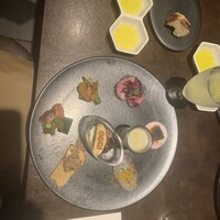 オッジ ダルマット 西麻布店 - 