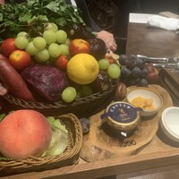 オッジ ダルマット 西麻布店 - 