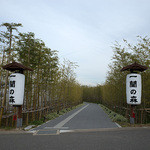 一蘭 - さすがに平日の中途半端な時間帯だとゆったり楽しめます。