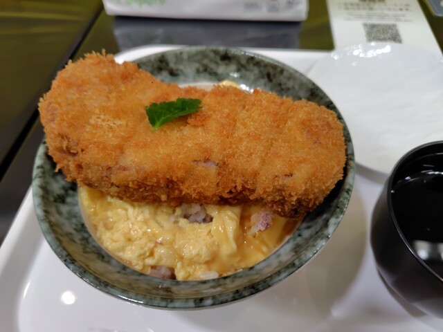 katsudon arata