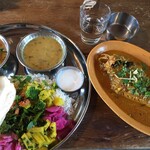 スパイス・ツリー - 