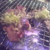 炭火焼肉 たけのうち 本店