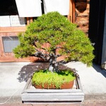 自家製麺 くろ松 - 