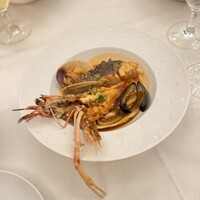 TRATTORIA PIZZERIA 207 渋谷店 - スカンピのリボルノ風カチュッコ