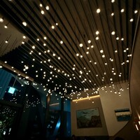TRATTORIA PIZZERIA 207 渋谷店 - 