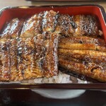 江島牡丹園 深見草 - うな重(上)+ご飯大盛り 接写