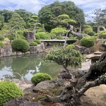 江島牡丹園 深見草 - 庭園(ぼたん園)