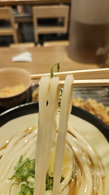 Sanuki Udon Ibukiya Seimen Akihabara Udx Ten photo 2