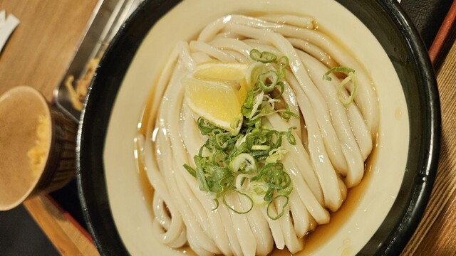Sanuki Udon Ibukiya Seimen Akihabara Udx Ten