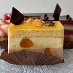 アルカイク - エクゾティックラクテ(パッション・マンゴー・ミルクチョコ)