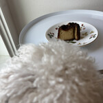 アルカイク - 狙ってるひとU・x・U