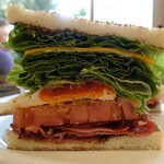 アンドサンドイッチ - 