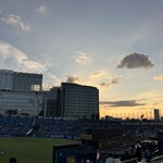 青山 シャンウェイ - 