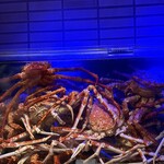 湘南沖地蟹専門店ふじ月 - 