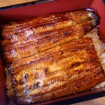 ぽんぽこ亭 - 特上うな重