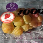 加藤ぶどう園 - 