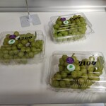 加藤ぶどう園 - 