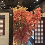 地鶏×鮮魚 個室居酒屋 もみじ庵 - 