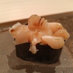 鮨 銀座 おのでら - 小柱　青柳の柱