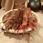 鮨 銀座 おのでら - 車海老と牡丹海老