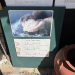 らー麺 れとろや - 