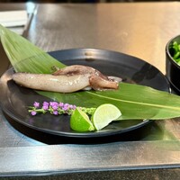 鉄板焼 銀明翠 - 青森県産スルメイカ鉄板焼