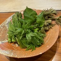 日本料理 別府 廣門 - 