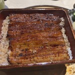 うなぎ 目白ぞろ芽 - 