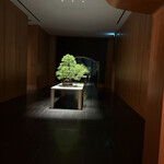 ブルガリ バー - 