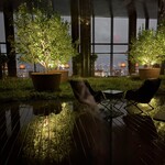 ブルガリ バー - 