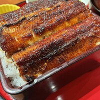 炭焼 うな富士 有楽町店 - 