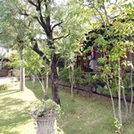 フランボワーズ - 木々