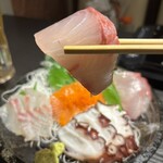鮮魚・和紙しゃぶ 虎てつ - 