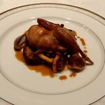 カステロ ヌォーボ - 