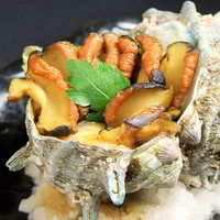 ■ ～ 焼き物 ～ ■