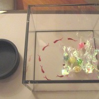 インターコンチネンタルホテル大阪 - こんぺいとう