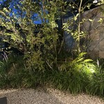 百花繚蘭 - お庭