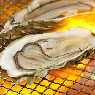 人気の炭焼牡蛎と生牡蠣！ウシカイだけど牡蛎も美味い！