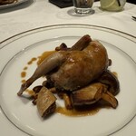 カステロ ヌォーボ - 