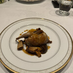 カステロ ヌォーボ - 7皿目
      うずらのロースト、あんず茸のソース
      