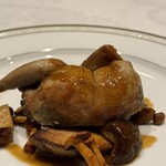 カステロ ヌォーボ - 