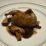 カステロ ヌォーボ - 