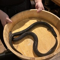 炭焼鰻 寝床 福島店 - 