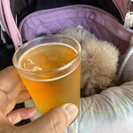 そば処 湧水 - 最初はビールで乾杯♪