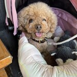 そば処 湧水 - 笑ってる？ｗ