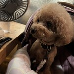 大衆食堂みゆき - シェリ