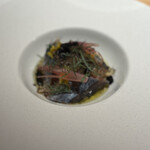 マンサルヴァ - 