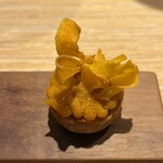 マンサルヴァ - 