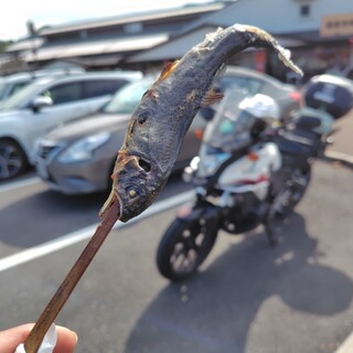 道の駅 柿の郷くどやま_0